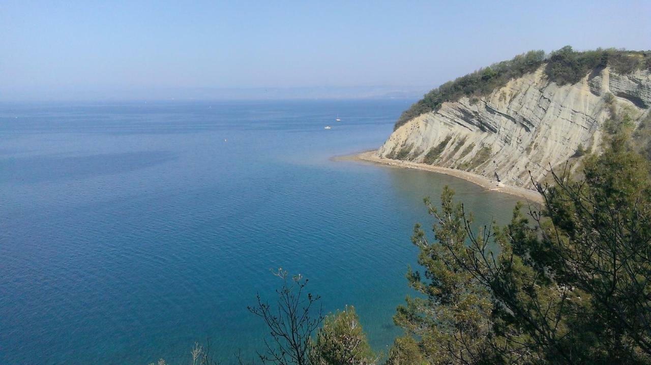 Apartma Vojkovo Koper Dış mekan fotoğraf